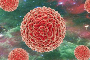 virus zika