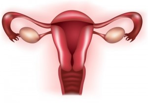 utero