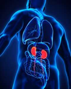 cistoscopia